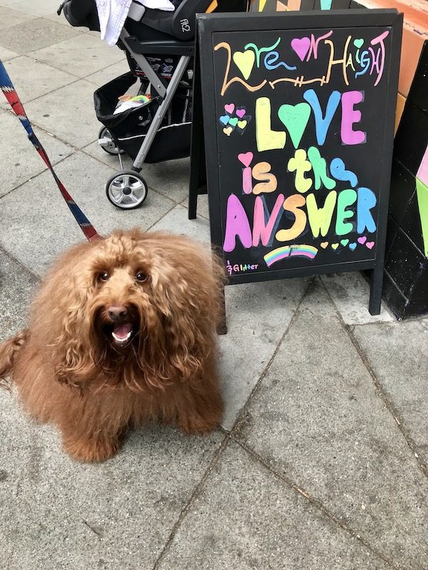 Love is the answer