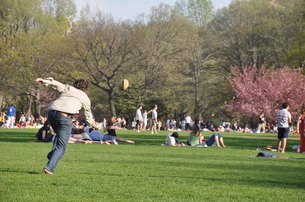 The Great Lawn Central Park