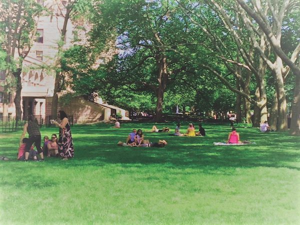 theodore roosevelt park