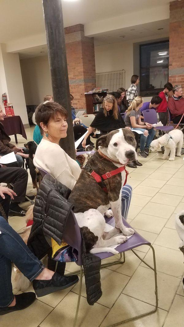 Blessing Animals St Paul St Andrew UWS