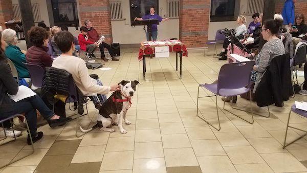 blessing of animals st paul st andrew