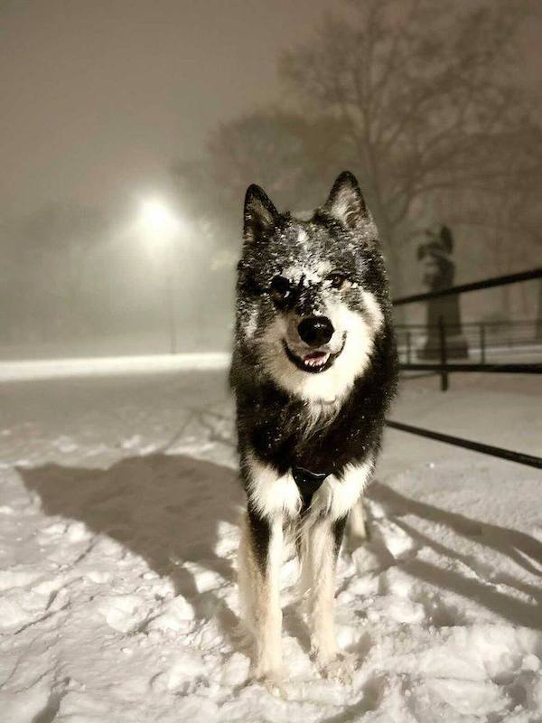 snowstorm 2020