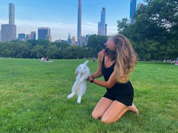 rabbit central park nyc