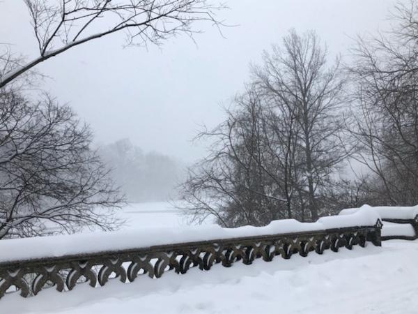 Winter Storm Orlena