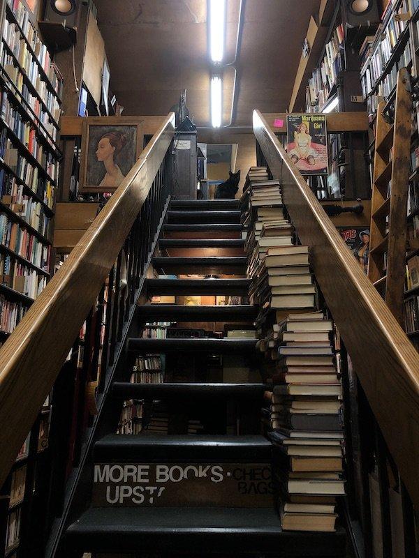 pig at top of stairs