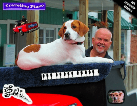 Danny Kean Traveling Piano and Mo