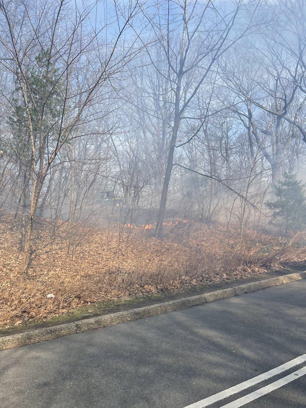 central park on fire