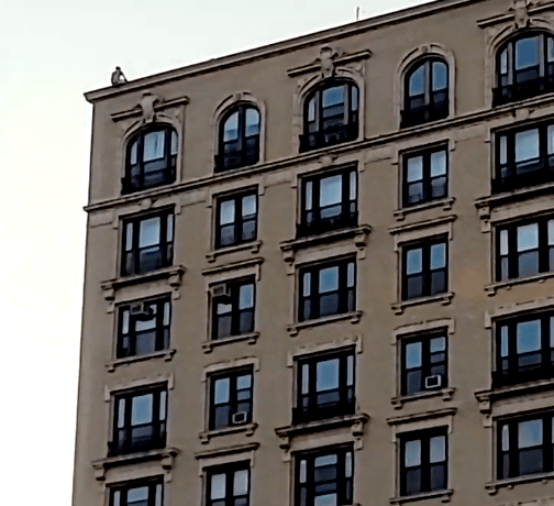 man on roof uws