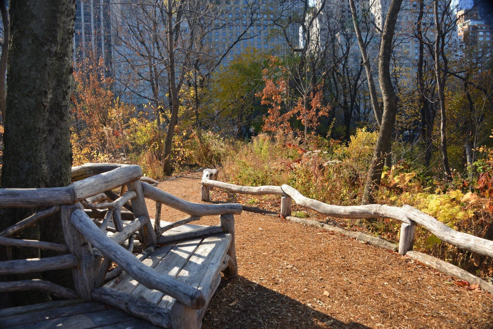 hallet nature sanctuary foliage trail
