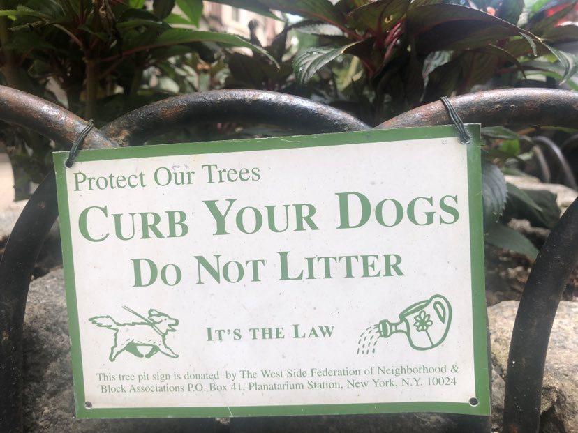 tree bed survey upper west side