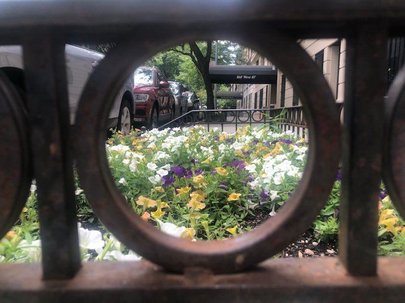 tree bed upper west side
