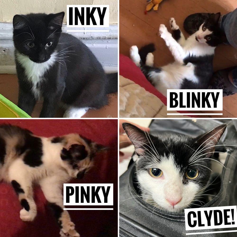 clyde and co
