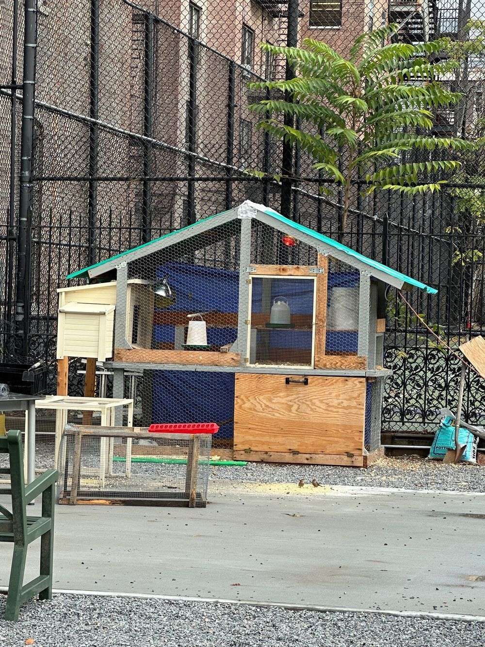 the coop urban assembly