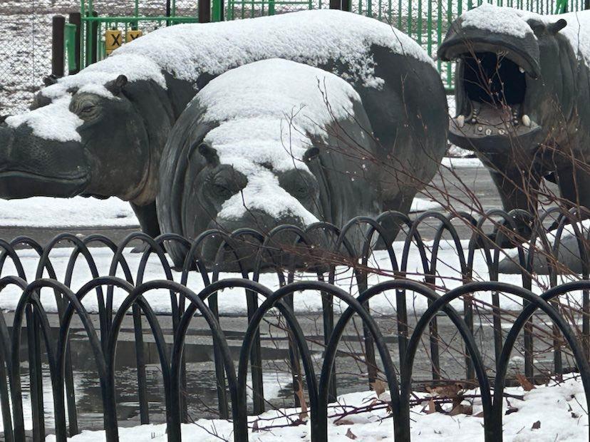 hippo playground in snow