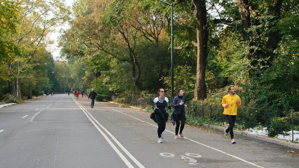 central park drives improvement