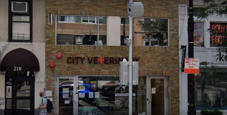 city vet sued