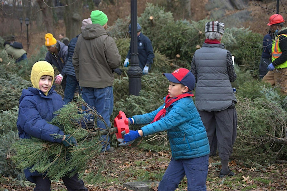 mulchfest 2025