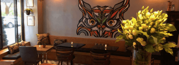 Cocktail Parlor and Social Eatery, the Owl’s Tail, Has Opened