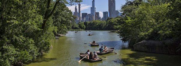 NYC Council Attempts to Separate Trump Org from Parks Department NYC Council Attempts to Separate Trump Org from Parks Department
