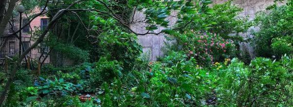 This Secret Rooftop Garden is Now Open to the Public!