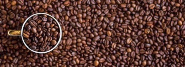 Blue Bottle Will Open Morningside Location