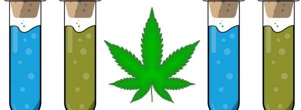 CBD Shop To Open in Columbus Circle’s TurnStyle