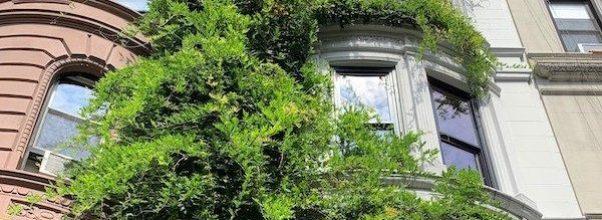 Ivy-Covered Buildings of the UWS