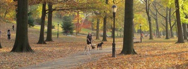 Riverside Park Conservancy Cancels Annual Gala to Take a Stand for Park Equity Riverside Park Conservancy Cancels Annual Gala to Take a Stand for Park Equity
