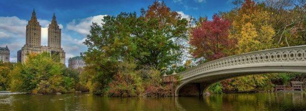 Central Park Conservancy Faces $10 Million Deficit, Launches Fundraiser Central Park Conservancy Faces $10 Million Deficit, Launches Fundraiser