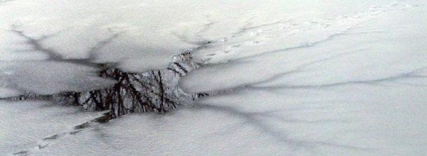 On Thin Ice: A Close Call in Central Park On Thin Ice: A Close Call in Central Park