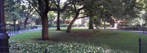 ‘Naked Man’ Sightings on Upper West Side ‘Naked Man’ Sightings on Upper West Side