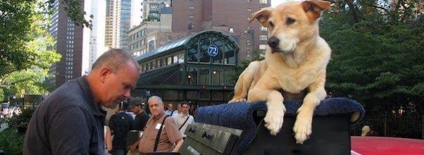 This Traveling Piano Man Wants to Stay at Your Apartment