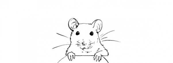 Rodent Sightings Surge Citywide; UWS Still Favorite Rat Retreat Rodent Sightings Surge Citywide; UWS Still Favorite Rat Retreat
