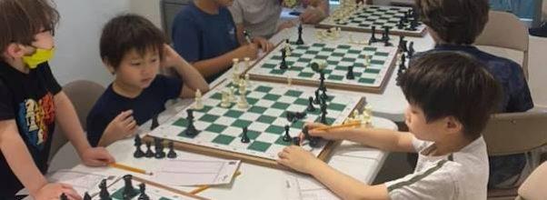 Learn Chess From The Best