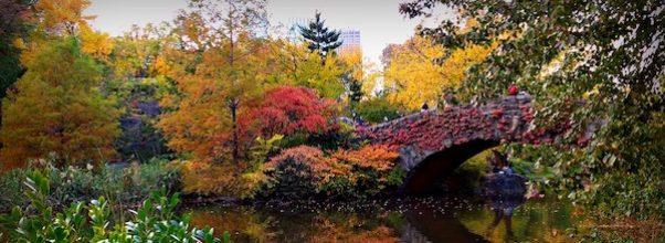 Best Central Park Fall Foliage Spots Best Central Park Fall Foliage Spots