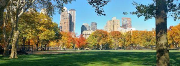 “Say Their Names”: An Augmented Reality Memorial in Central Park “Say Their Names”: An Augmented Reality Memorial in Central Park