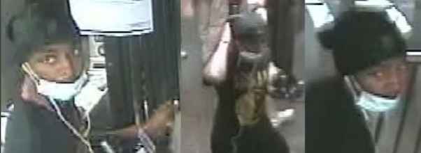 Another Suspect Steals Camera from Elderly Man in Central Park