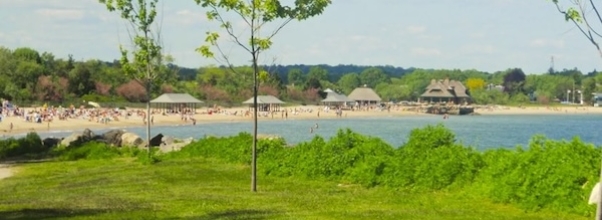 Escape to Summer Bliss at the Long Island Sound
