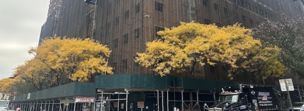 Vanishing Vendors: Scaffolding, Super Towers, and the Fight to Stay Seen
