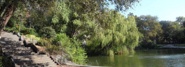 Everything You Need to Know About Morningside Park