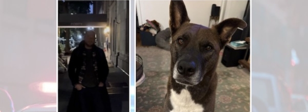“He’s Obviously Struggling”: UWS Resident Recounts Disturbing Encounter with Alleged Arsonist Who Kicked His Dog